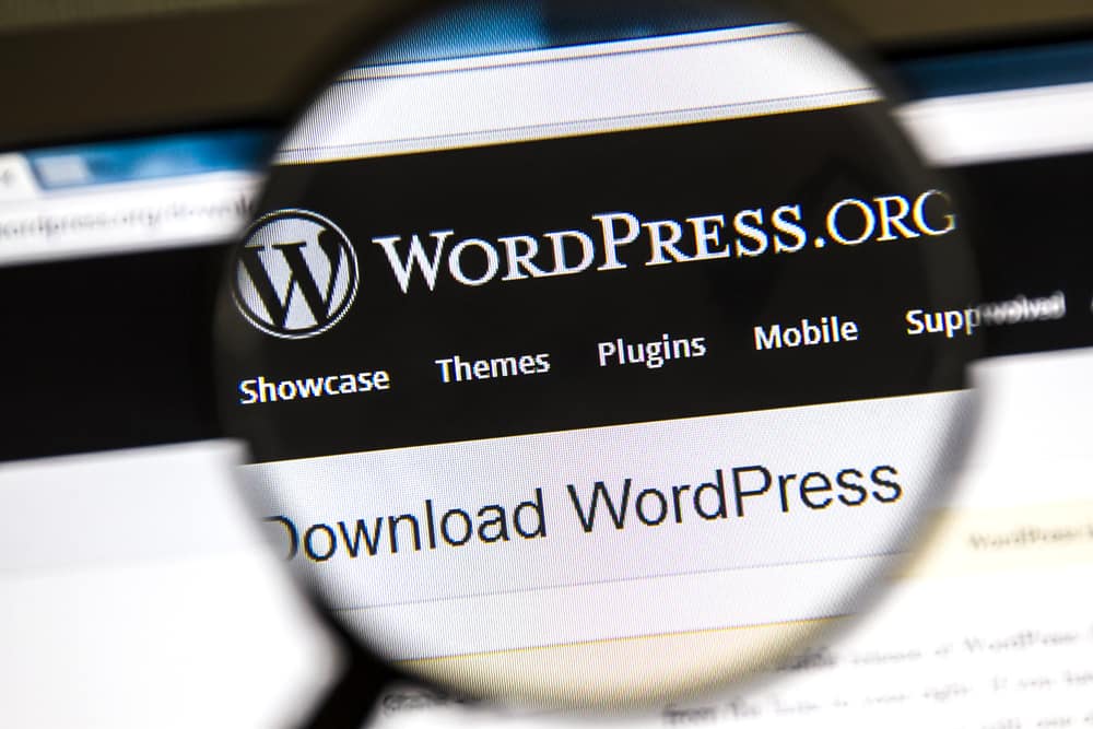 Web Design With WordPress For a Successful Online Business